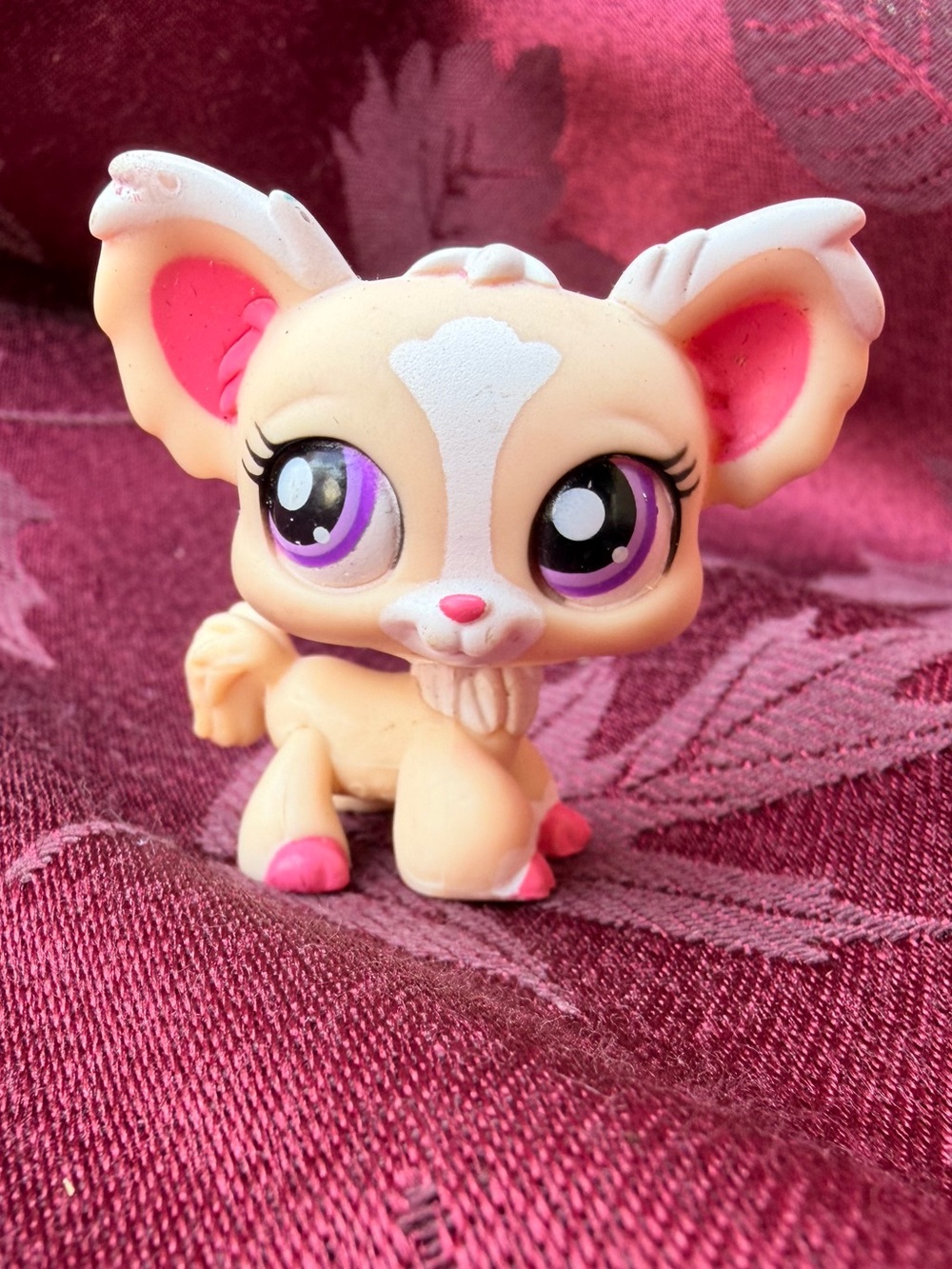 Littlest Pet Shop Chihuahua #1892 collectible toy figurine
